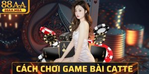 Cách Chơi Game Bài Catte Chuẩn, Hiệu Quả Cho Bet Thủ