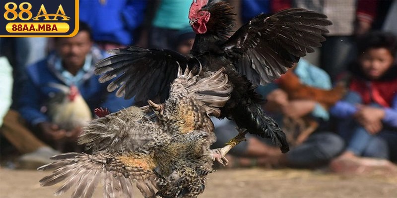 Nghiêm cấm sử dụng chất kích thích hoặc thiết bị gian lận