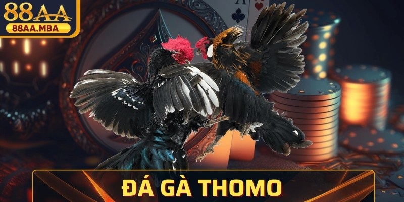 Đá Gà Thomo - Nơi Chiến Kê Thể Hiện Kỹ Năng Vượt Trội