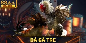 Đá Gà Tre - Màn Đối Đầu Của Những Chiến Kê Nhỏ Mạnh Mẽ